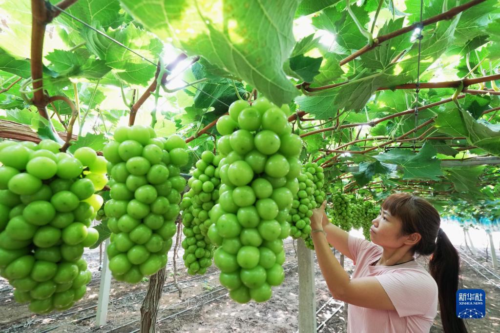 手机版jj斗地主